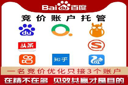 关键词竞价排名策略案例分析